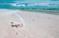 Dueodde beach in Bornholm, Denmark