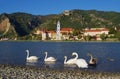 Duernstein with swan Royalty Free Stock Photo