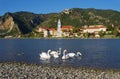 Duernstein with swan Royalty Free Stock Photo