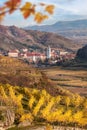 Duernstein village with castle against colorful vineyards during autumn in Wachau, Austria