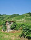 Duernstein,Wachau,Danube River,Austria