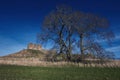 Duffus Castle in Scotland with leafless trees against a blue sky