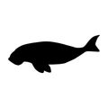 Dugong Dugon Dugon Silhouette Vector Found In Indonesian And Australia