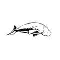 Dugong Medium-Sized Marine Mammal Swimming Side Retro Woodcut Black and White Royalty Free Stock Photo