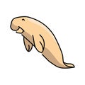 Dugong shark color line illustration. Marine mammals. Royalty Free Stock Photo