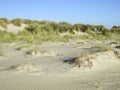 Duinen op Vlieland, Dunes at Vlieland Royalty Free Stock Photo