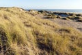 Duinen op Vlieland, Dunes at Vlieland Royalty Free Stock Photo