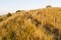 Duinen op Vlieland, Dunes at Vlieland Royalty Free Stock Photo