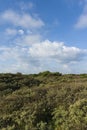 Duinen van Oostvoorne Royalty Free Stock Photo