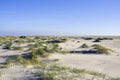 Duinvorming Vliehors Vlieland, Dune growth