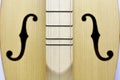 Dulcimer, folk instrument close-up. background