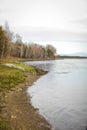 Dull autumn landscape with stale grass and trees near river in Siberia. Natural rural background