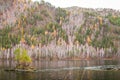 Dull autumn landscape with stale grass and trees near river in Siberia. Natural rural background