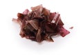 Dulse seaweed Royalty Free Stock Photo