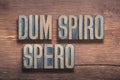 Dum spiro spero wood Royalty Free Stock Photo