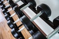 Dumb bells lined up in a fitness studio. picture is short focus