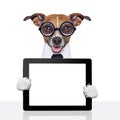 Dumb business dog Royalty Free Stock Photo