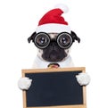 Dog office worker on christmas holidays Royalty Free Stock Photo