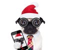 Dog office worker on christmas holidays Royalty Free Stock Photo