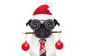 Dog office worker on christmas holidays Royalty Free Stock Photo