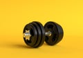 Dumbbell with black plates isolated on pastel yellow background Royalty Free Stock Photo