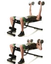 Dumbbell Chest Press Royalty Free Stock Photo