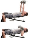 Dumbbell Chest Press Royalty Free Stock Photo