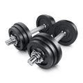 Dumbbell Royalty Free Stock Photo