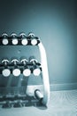 Dumbbell gym weights in sports health club rack Royalty Free Stock Photo