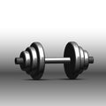 Dumbbell Isolate on White Background