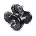 Dumbbell Royalty Free Stock Photo