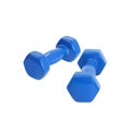 Dumbbell pair set. Fitness weight equipment. Scalable vector realistic illustration. Gym and body building blue weights exercise. Royalty Free Stock Photo