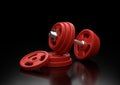 Dumbbell with red plates isolated on black background Royalty Free Stock Photo