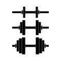 Dumbbell with removable disks different weights set icon isolated on white background. Weightlifting equipment Royalty Free Stock Photo