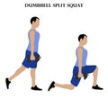 Dumbbell split squat exercise strength workout vector illustration