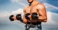 Dumbbell. Strong bodybuilder, perfect deltoid muscles, shoulders, biceps, triceps and chest. Muscles with dumbbell. Man Royalty Free Stock Photo