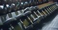 Dumbbell, weight and close up at gym for strong sport or wellness workout, training or goals. Exercise membership