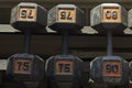 Dumbbell Weights