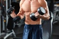 Dumbbell workout Royalty Free Stock Photo