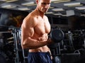 Dumbbell workout Royalty Free Stock Photo