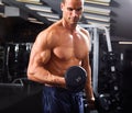 Dumbbell workout Royalty Free Stock Photo