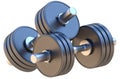 Dumbbells Royalty Free Stock Photo