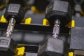 Dumbbells arranged in order on the stand for dumbbells Royalty Free Stock Photo
