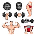 Dumbbells, Bodybuilder, Fitness body, Weigth Kettlebell. Fitness gym icons. Vector. Royalty Free Stock Photo
