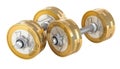 Dumbbells with euro coins as a weight disks, 3D rendering