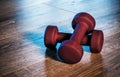 Dumbbells in the gym Royalty Free Stock Photo