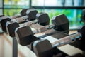 dumbbells in the gym at sports club for exercise and Bodybuilding Royalty Free Stock Photo