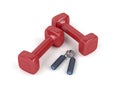 Dumbbells and hand gripper Royalty Free Stock Photo