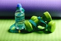 Dumbbells made of green plastic on green and purple background Royalty Free Stock Photo