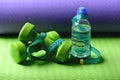 Dumbbells made of green plastic on green and purple background Royalty Free Stock Photo